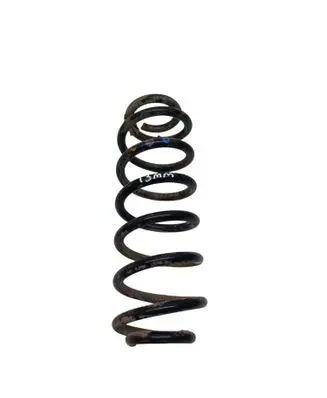 Volkswagen PASSAT B6 Rear coil spring