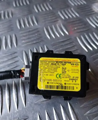 Hyundai i30 Immobilizer control unit/module 95420A5700 116RI000313 067800TZ123