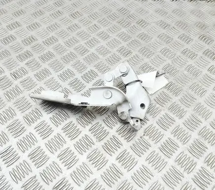 Lexus IS III XE30 Engine bonnet/hood hinges 5342053100