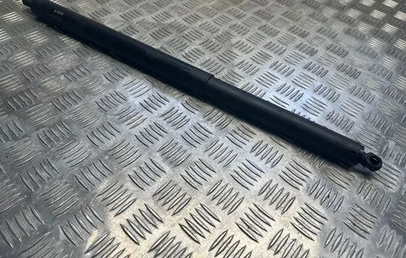 Tailgate/trunk strut/damper