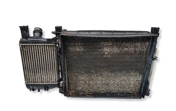 Dacia Lodgy Coolant radiator 