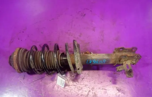 Opel Astra H Front shock absorber with coil spring