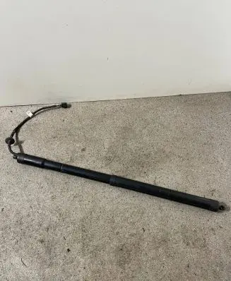 Tailgate strut