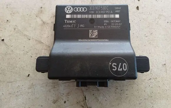 Volkswagen PASSAT B6 Gateway control module 3C0907530C