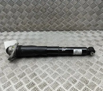 Volkswagen ID.4 Rear shock absorber/damper 1EA512013BD