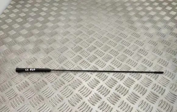 Ford Ecosport Radio antenna 