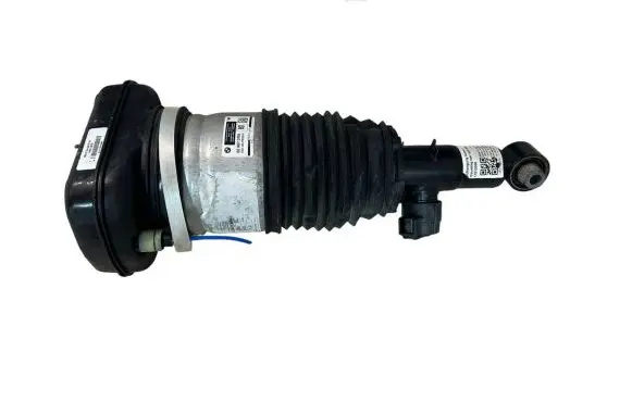 BMW X7 G07 Rear shock absorber/damper 6869039 37106869039 78315615