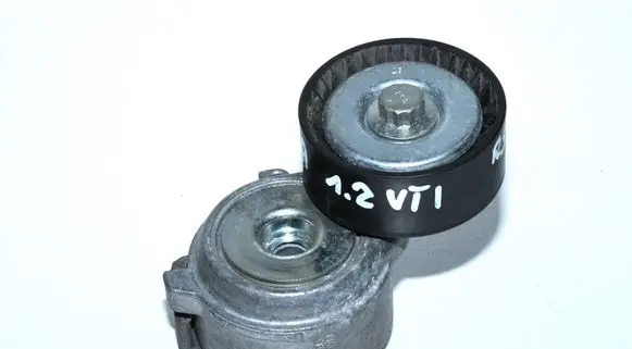 Citroen C3 Generator/alternator belt tensioner 9841857180