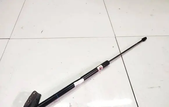Ford Grand C-MAX Front bonnet/hood damper/strut