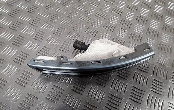Volkswagen PASSAT B6 Front indicator light 3c0953042e