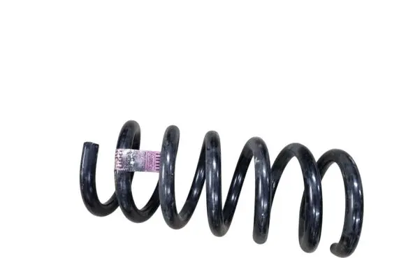 Rear coil spring