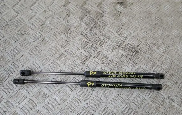 KIA Niro Tailgate strut 