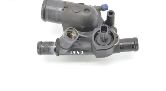 Thermostat/thermostat housing