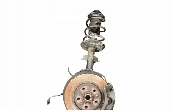 Renault Talisman Rear wheel hub 543029696R