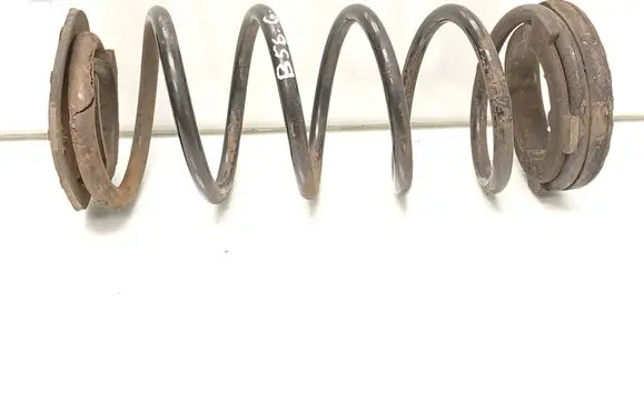 Rear coil spring