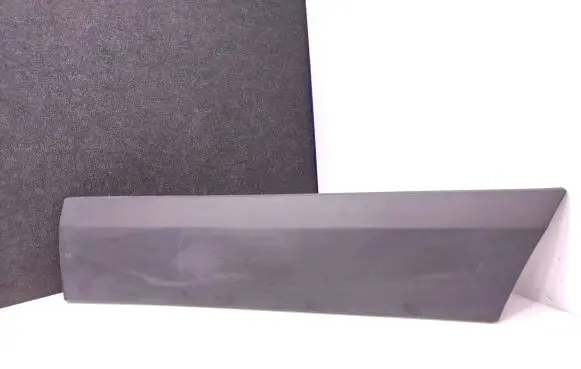 Mercedes-Benz Sprinter W906 Front door trim (molding) A9066900500 12533998 ZGS001
