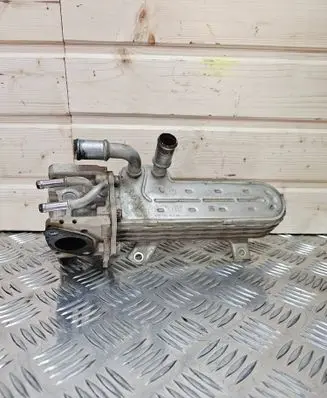 Volkswagen Golf Plus EGR valve cooler 038131513AD