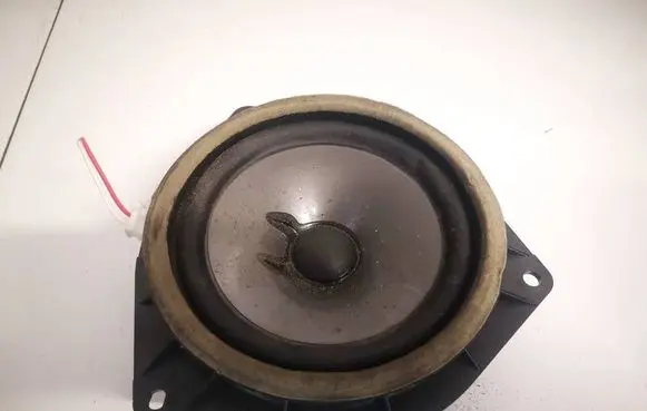 Front door speaker