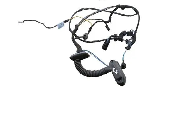 Front door wiring loom