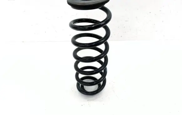 Volkswagen Jetta VI Rear coil spring 1K0512149B