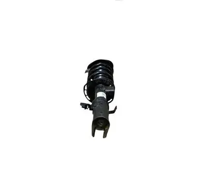 Ford Bronco Front shock absorber with coil spring N1PC18045AAC LX613K155CNB LX615310FNF