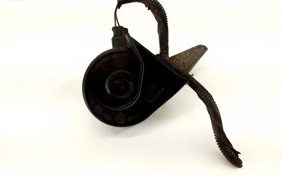 Horn signal