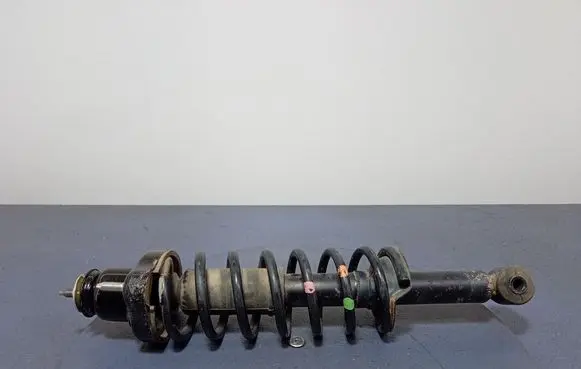 Citroen C4 Aircross Rear shock absorber/damper 4162A401