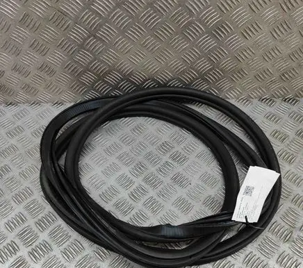 BMW X7 G07 Rubber seal rear door 7431142