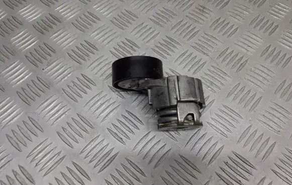Dacia Logan I Alternator belt tensioner pulley 950649