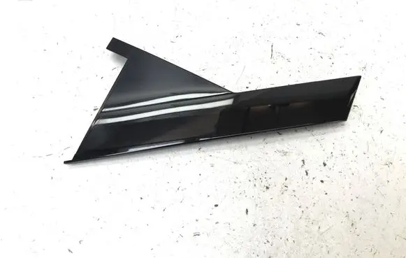 Chery 7 Rear door trim (molding) 551001456AA