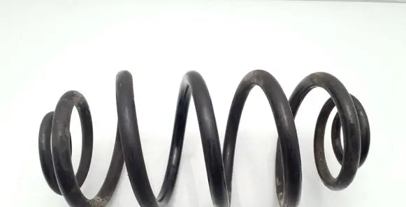 Opel Insignia A Rear coil spring 