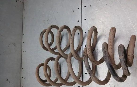Rear coil spring