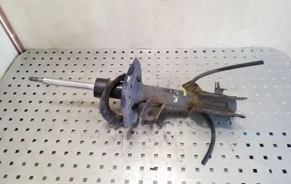 Nissan Qashqai Front shock absorber/damper 54302JD00A