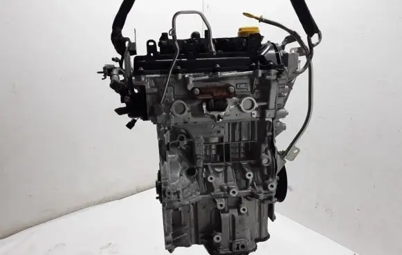 Dacia Sandero III Engine H4D480