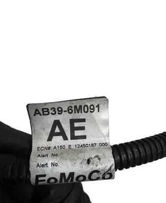 Ford Ranger Glow plug wires AB396M091AE
