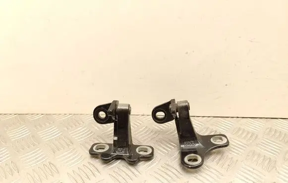 Tesla Model Y Juniper Rear door hinge set 162607800C