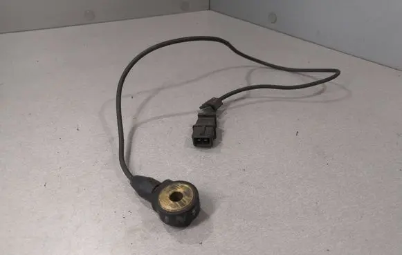 Opel Sintra Detonation knock sensor 0261231079