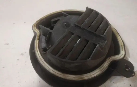 Citroen C6 Rear door speaker