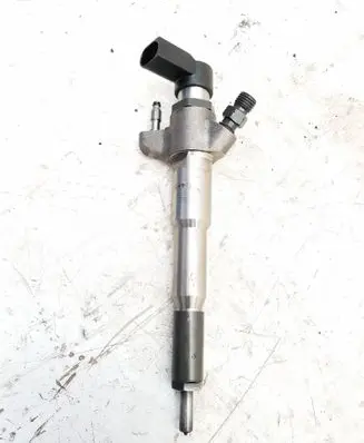 Renault Master III Fuel injector 166000372R 8GHFCGDA0