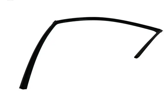 Peugeot 4008 Rubber seal front door window/glass 3X4JY06