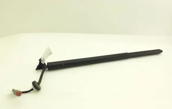Tailgate strut