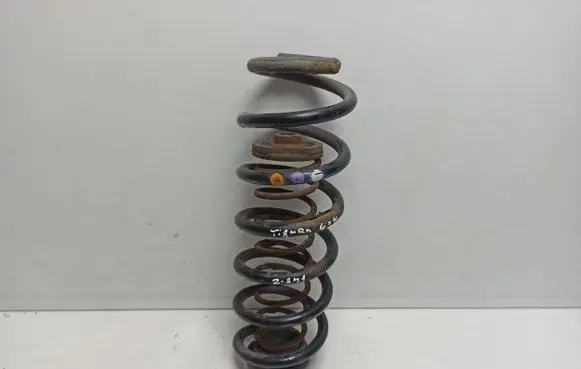 Volkswagen Tiguan Rear coil spring
