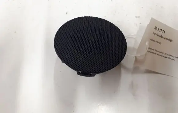 Panel speaker
