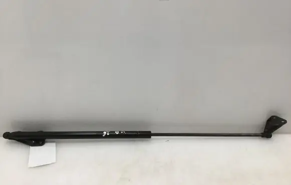 Nissan Juke I F15 Tailgate strut 904501KA1A
