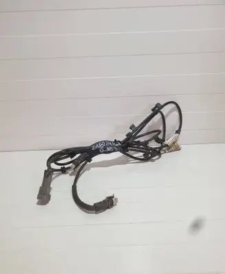 Other wiring loom