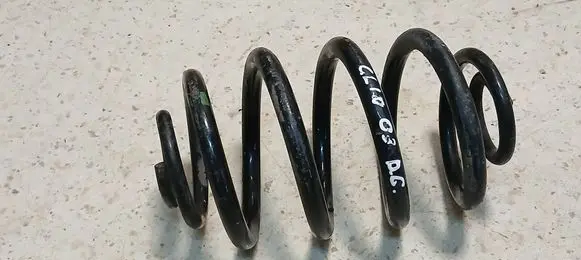 Rear coil spring