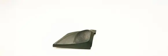 Front door high frequency speaker