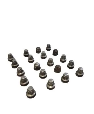Jaguar XF X250 Wheel nut cap/cover 