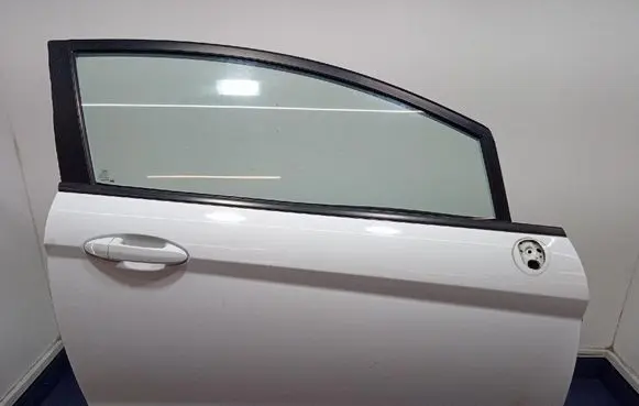 Ford Fiesta Front door 