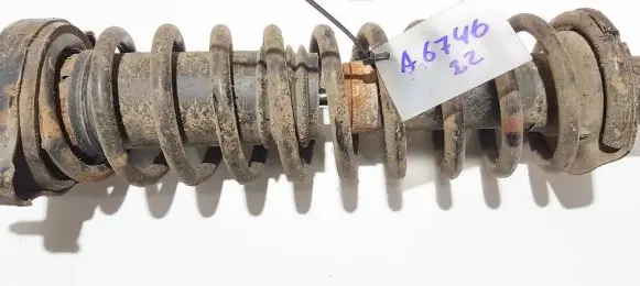 Rear coil spring